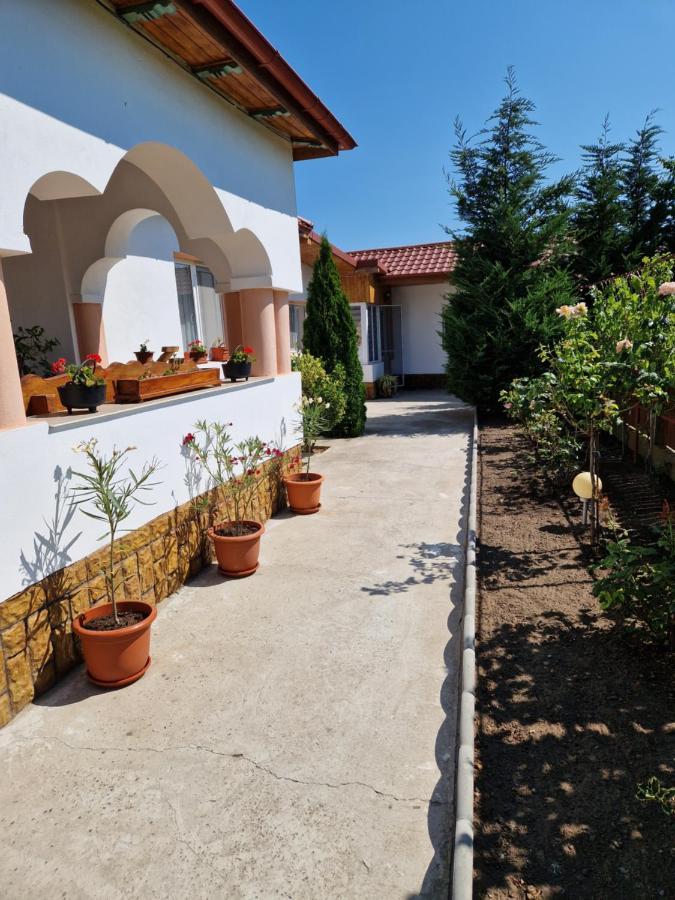 Casa Ivana Murighiol Exterior photo